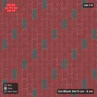 Interlock (Pasco) 24x13 cm · UNI-170 · Scattered accent pieces, one in every 4x2, quarter-turn lay, kerb frame (Urban Brick)