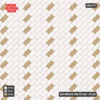 Interlock (Pasco) 24x13 cm · UNI-172 · Diagonal lines of accent pieces every 4, 45-degree lay, kerb frame (Coastal)
