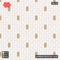 Interlock (Pasco) 24x13 cm · UNI-176 · Scattered accent pieces, one in every 4x4, quarter-turn lay (Coastal)