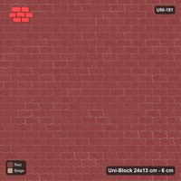 Interlock (Pasco) 24x13 cm · UNI-191 · Plain field, straight lay, kerb frame (Terracotta)