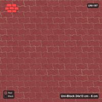 Interlock (Pasco) 24x13 cm · UNI-197 · Plain field, straight lay, kerb frame (Red & Black)