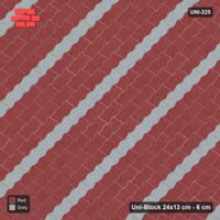 Interlock (Pasco) 24x13 cm · UNI-225 · Accent courses (1 in 5), 45-degree lay, kerb frame (Brick & Ash)