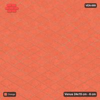 Interlock (Pasco) 24x15 cm · VEN-009 · Plain native interlock, kerb frame
