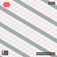 Interlock (Pasco) 24x15 cm · VEN-011 · Lattice-axis stripes A