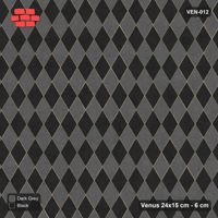 Interlock (Pasco) 24x15 cm · VEN-012 · Zigzag chevron courses, turned 90 deg, kerb frame