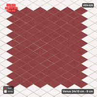 Interlock (Pasco) 24x15 cm · VEN-029 · Accent edge pavers, kerb frame