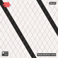 Interlock (Pasco) 24x15 cm · VEN-047 · Lattice-axis stripes B, turned 90 deg, kerb frame