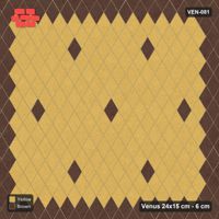 Interlock (Pasco) 24x15 cm · VEN-081 · Framed field with accent squares, 5x5, turned 90 deg