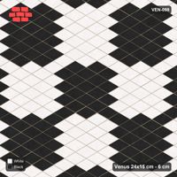 Interlock (Pasco) 24x15 cm · VEN-098 · Large block chequer, 60 cm squares