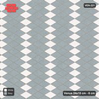 Interlock (Pasco) 24x15 cm · VEN-221 · Wide diagonal accent lattice, kerb frame