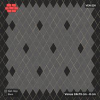 Interlock (Pasco) 24x15 cm · VEN-226 · Framed field with accent squares, 4x4, turned 90 deg, kerb frame
