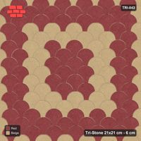 Interlock (Pasco) 21x21 cm · TRI-043 · Concentric colour rings, kerb frame