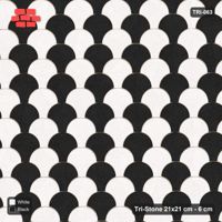 Interlock (Pasco) 21x21 cm · TRI-063 · Alternating scale rows, kerb frame - Contrast