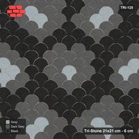 Interlock (Pasco) 21x21 cm · TRI-125 · Two-tone rosette scatter, kerb frame - Graphite Scale