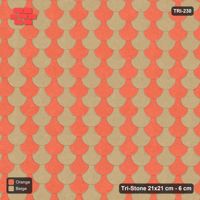 Interlock (Pasco) 21x21 cm · TRI-230 · Scale checker, single, turned 180 deg - Clay Court